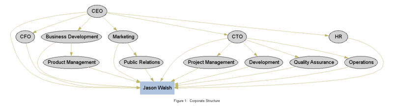 Organizational Chart